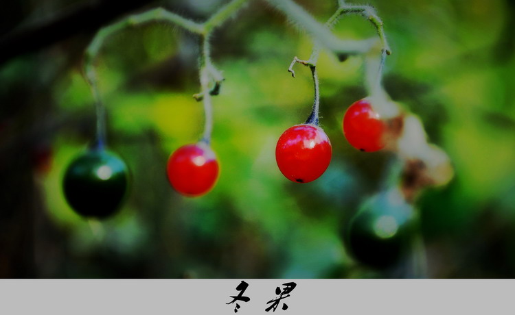 Ƭ 061.jpg