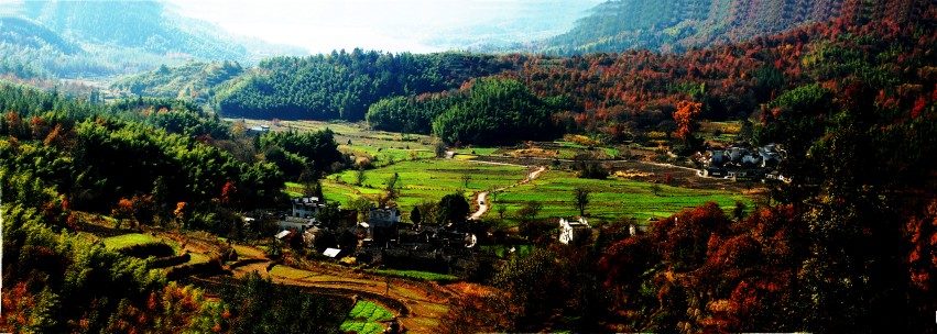 ykxAA未标题_全景图1_conew1.jpg