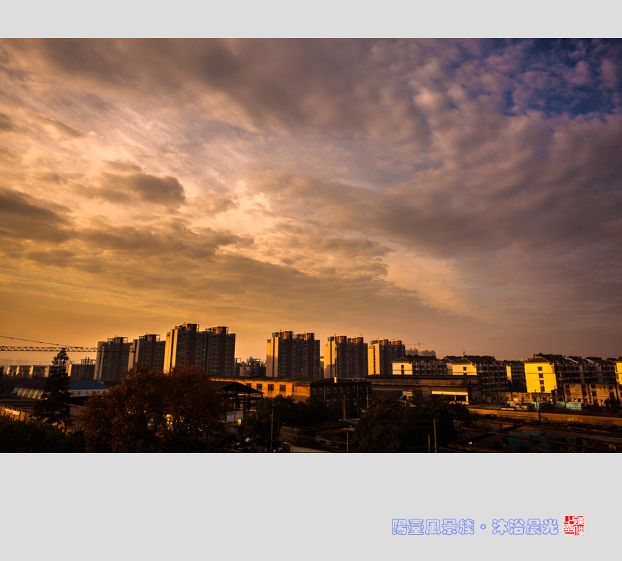 沐浴晨光02.jpg
