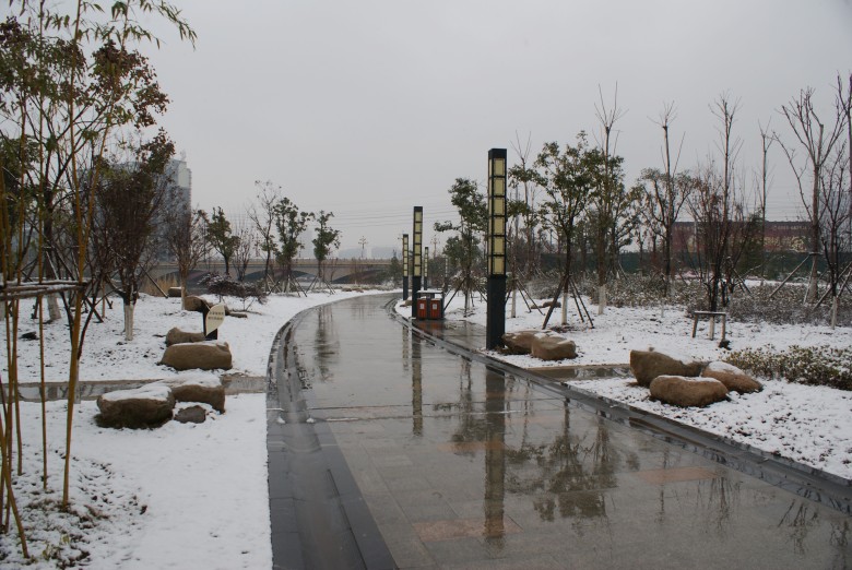DSC02095_conew1.jpg