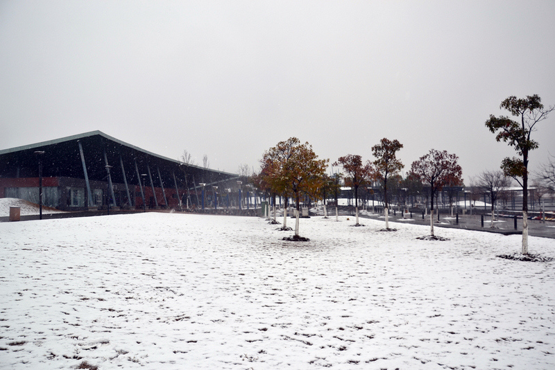 DSC_0019.JPG