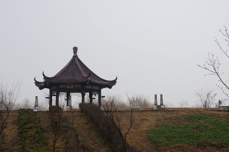 DSC09030.JPG