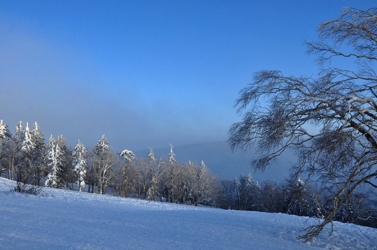 雪乡雪景三