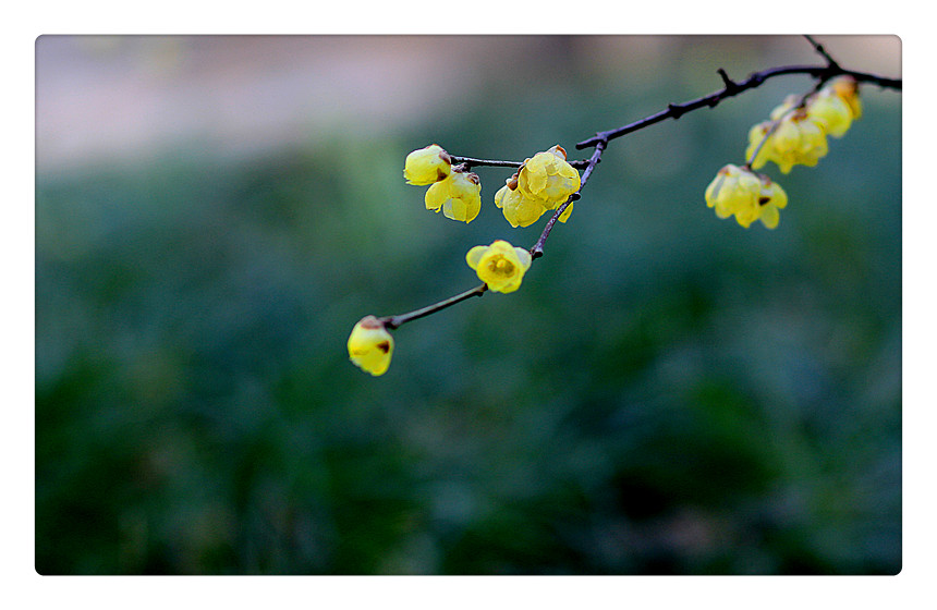 ÷_0093_.jpg