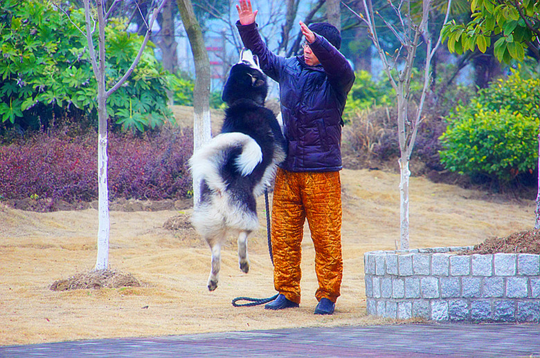 DSC09351_.jpg