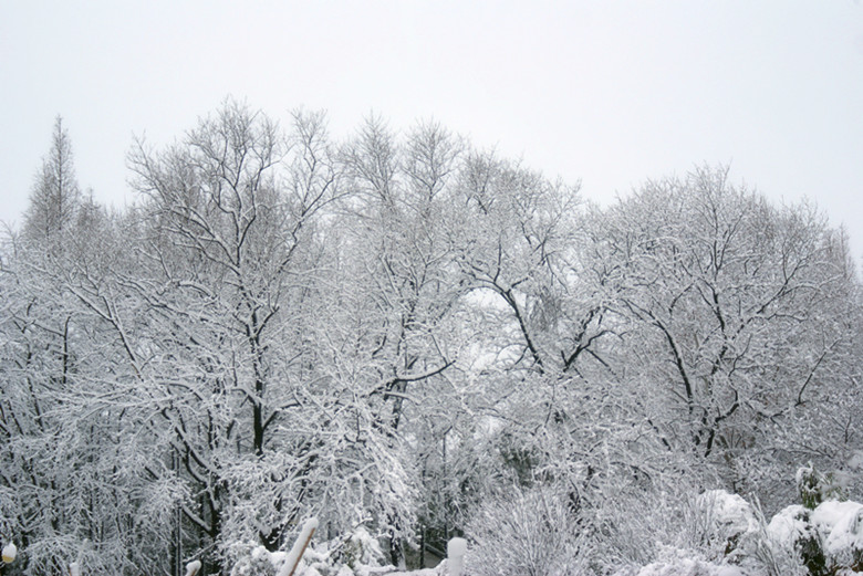 DSC03046_.jpg
