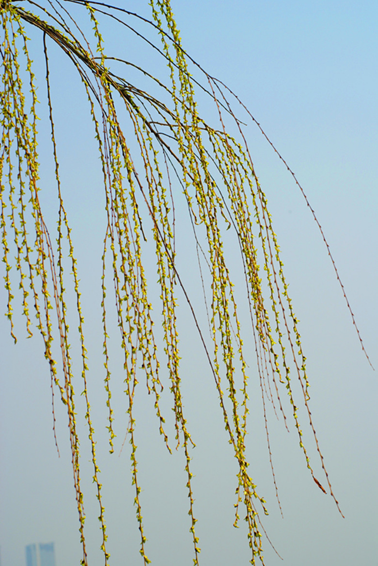 DSC03512_副本.jpg