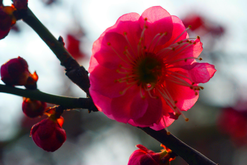 DSC03540_副本.jpg