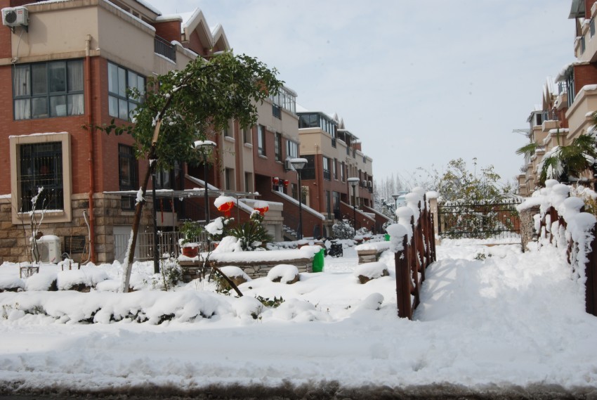 DSC_7543_conew2.JPG