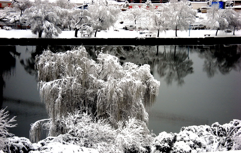【层层雪景】DSC05307.jpg