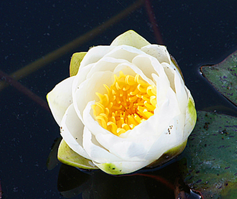 DSC09817_副本.jpg
