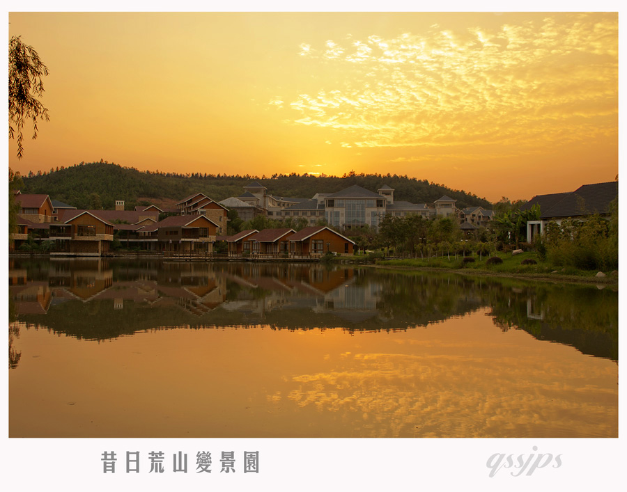 昔日荒山变景园.jpg