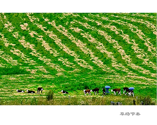 韩桂兰 (3).jpg
