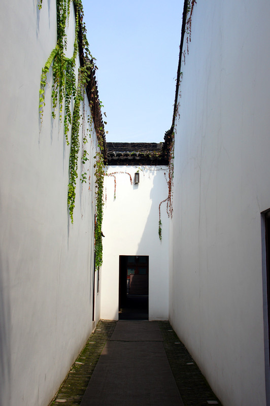 DSC01552_副本.jpg