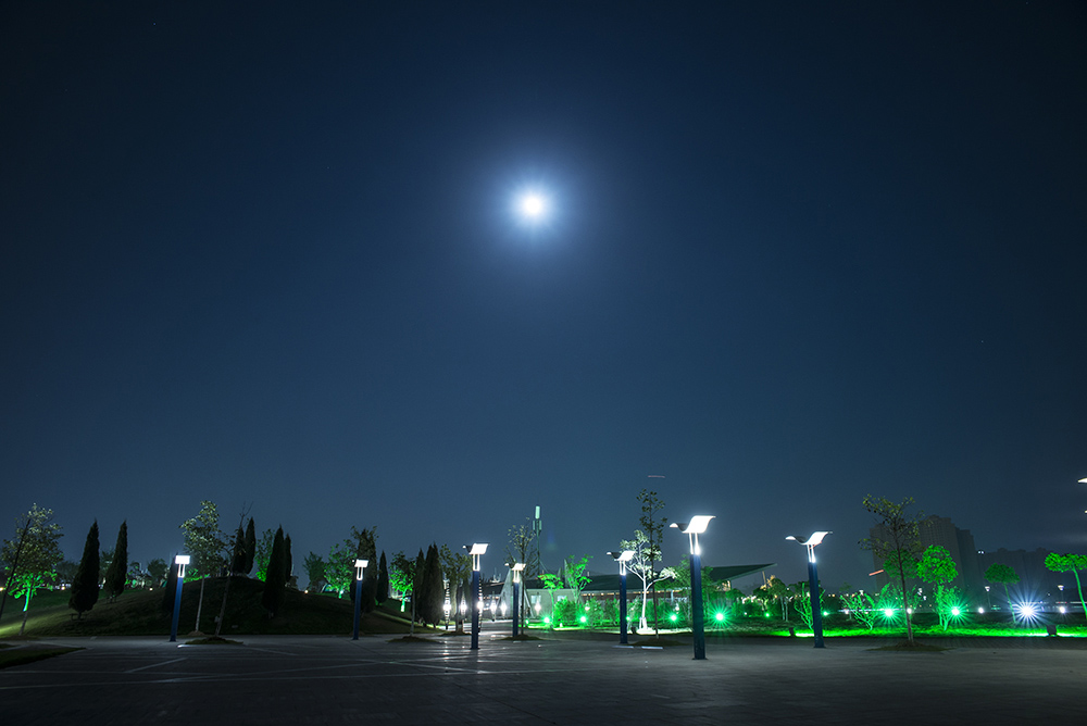 DSC_1708.jpg