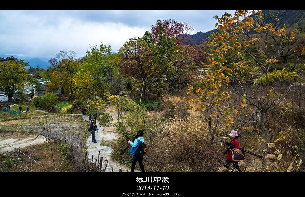 DSC_3169-s_副本.jpg