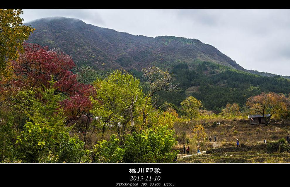 DSC_3181-s_副本.jpg