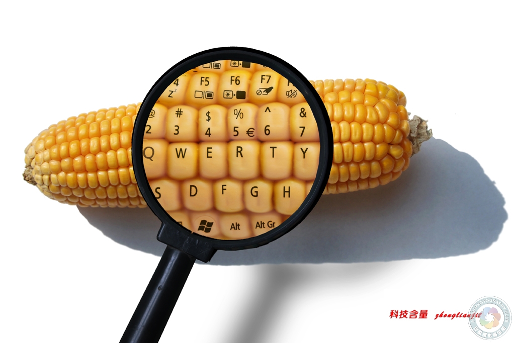 商业类银奖_科技含量_李志文_中国.jpg