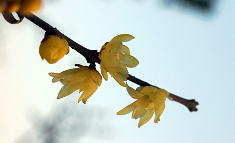 DSC00278_副本.jpg