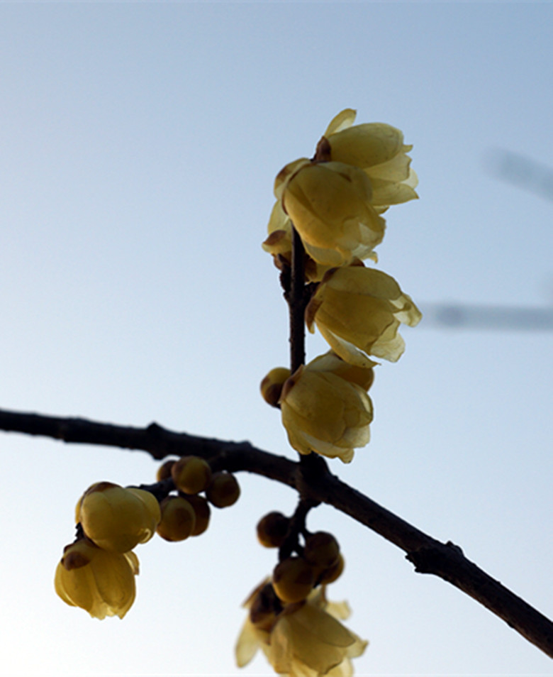 DSC00279_副本.jpg