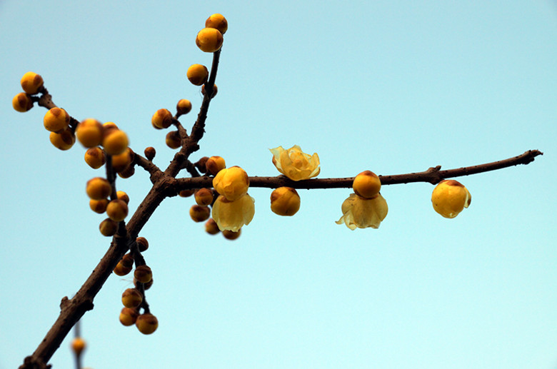 DSC00280_副本.jpg