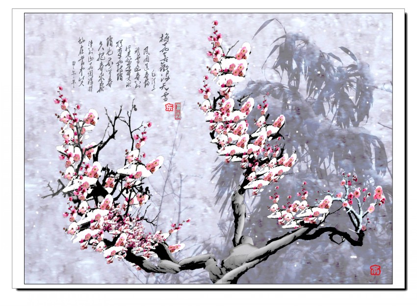 未标题-171_conew2.jpg