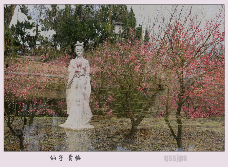 _D4A3495副本.jpg