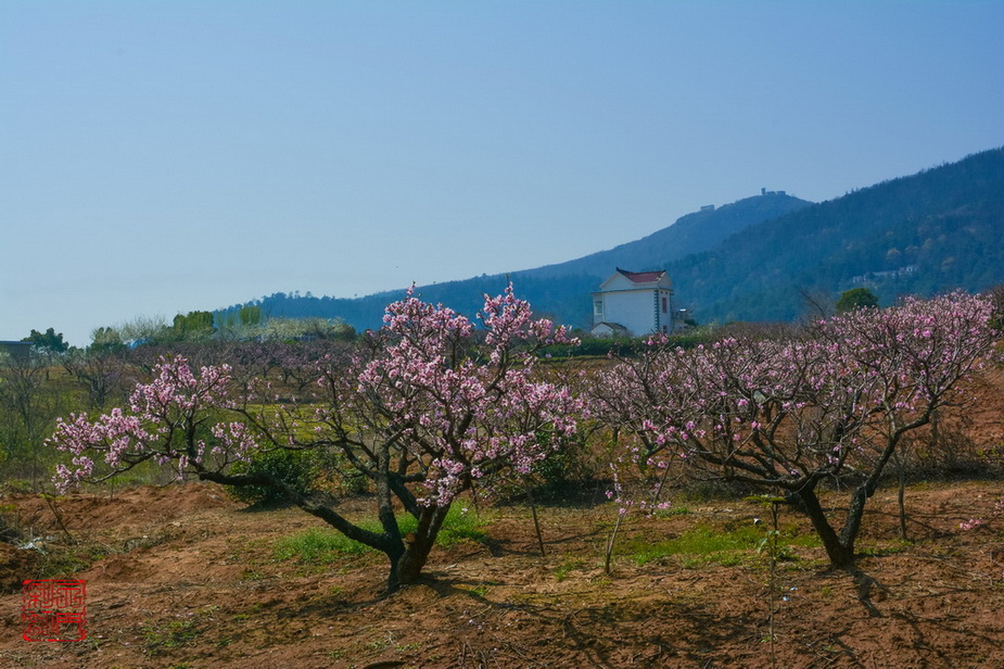 副本DSC_0459_调整大小.jpg