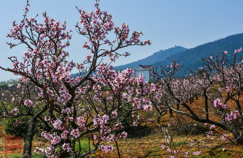 副本DSC_0462_调整大小.jpg