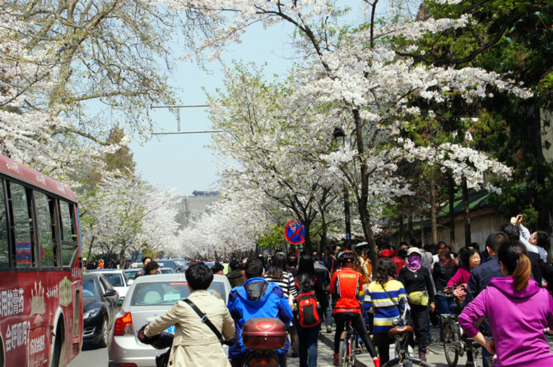 DSC02665_副本.jpg