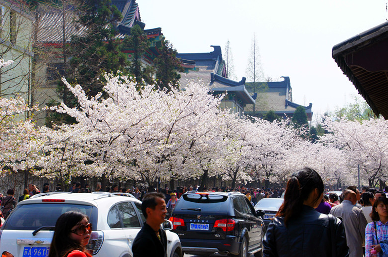 DSC02719_副本.jpg