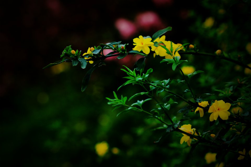花季4.jpg