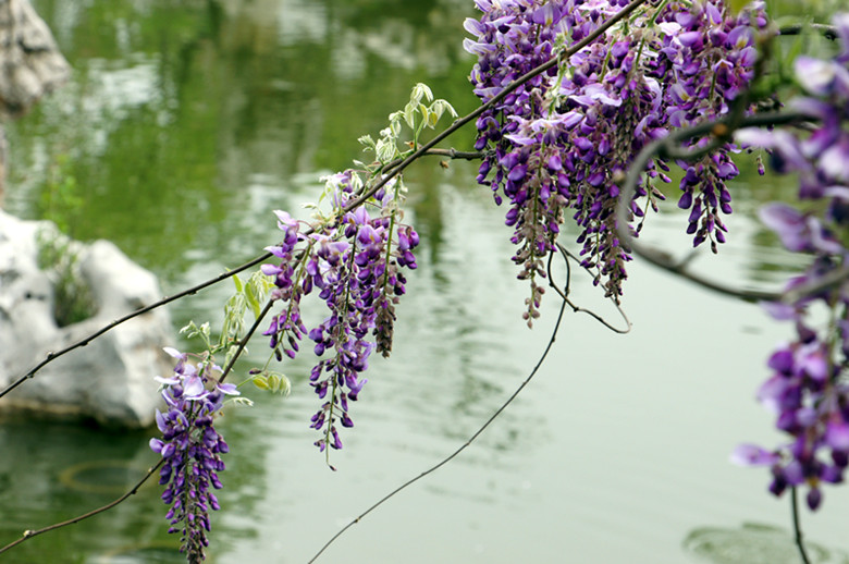 DSC02847_副本.jpg