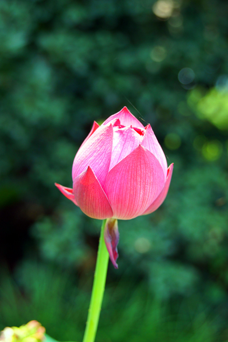 DSC03341_.jpg