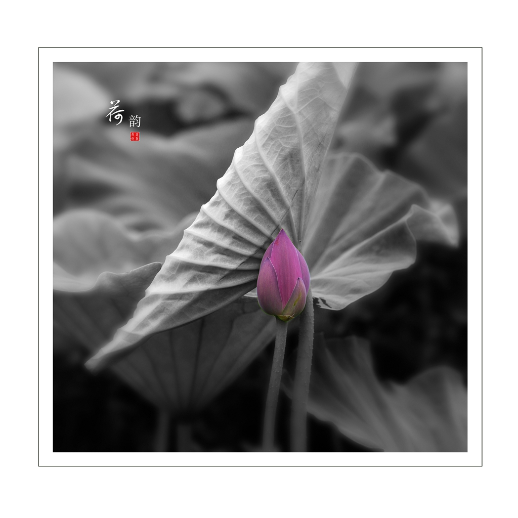 未标题-6.jpg