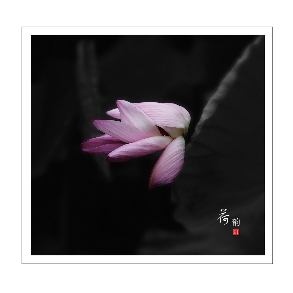 未标题-7.jpg