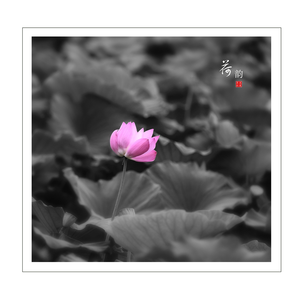 未标题-8.jpg