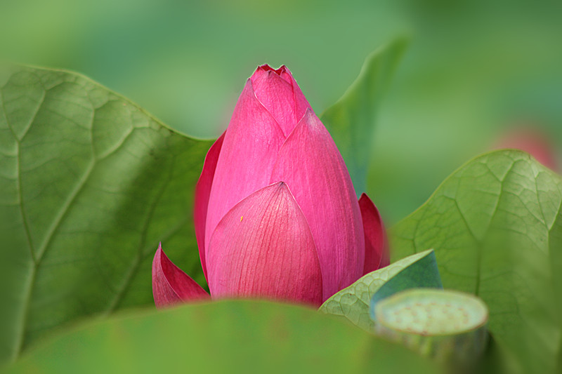 IMG_0752_副本.jpg