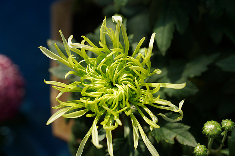 DSC05815_副本.jpg