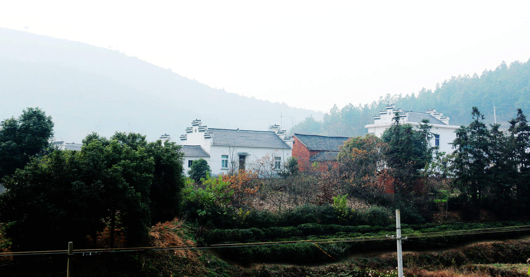 IMG_1517_副本.jpg