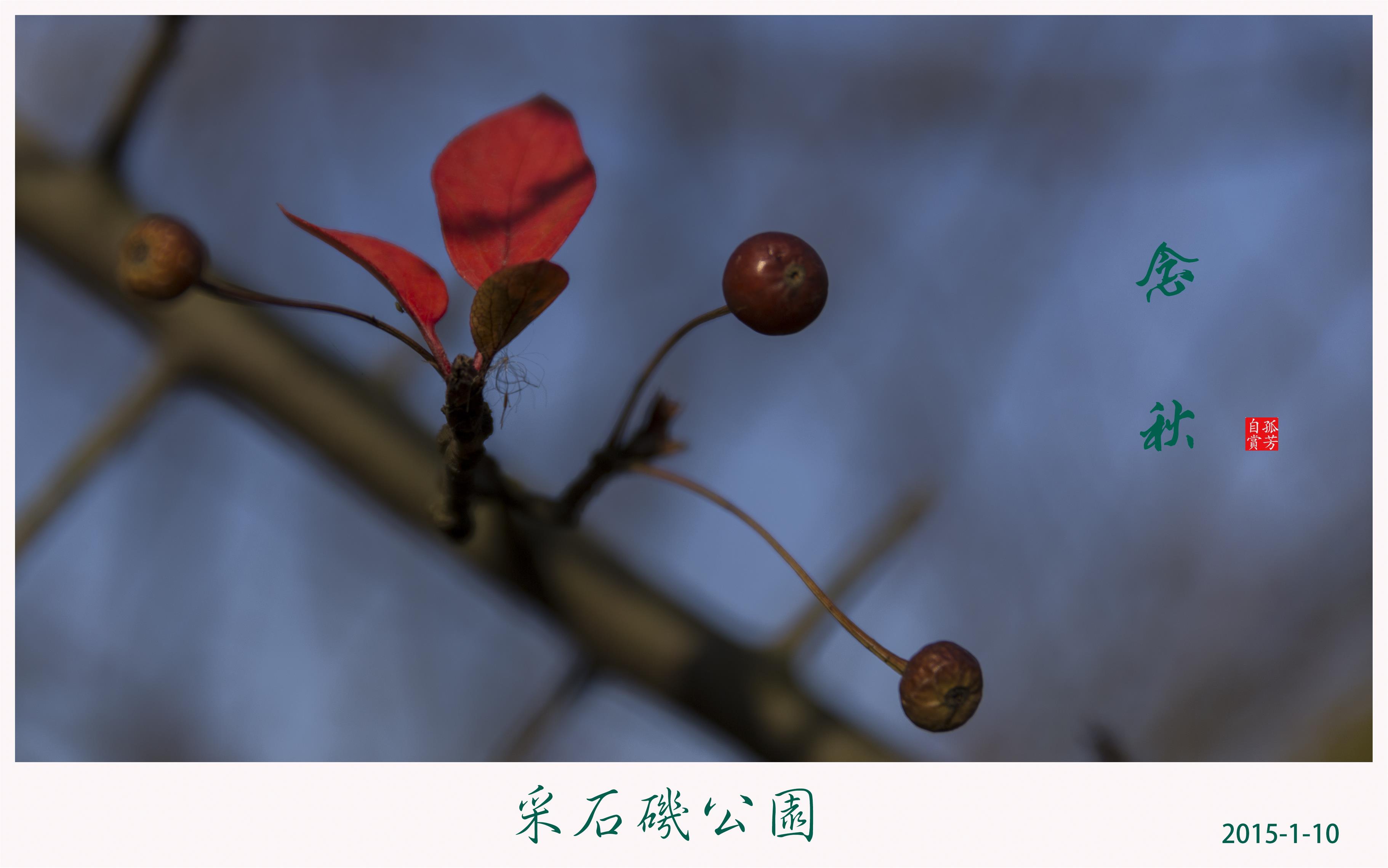 未命名-1-3.JPG