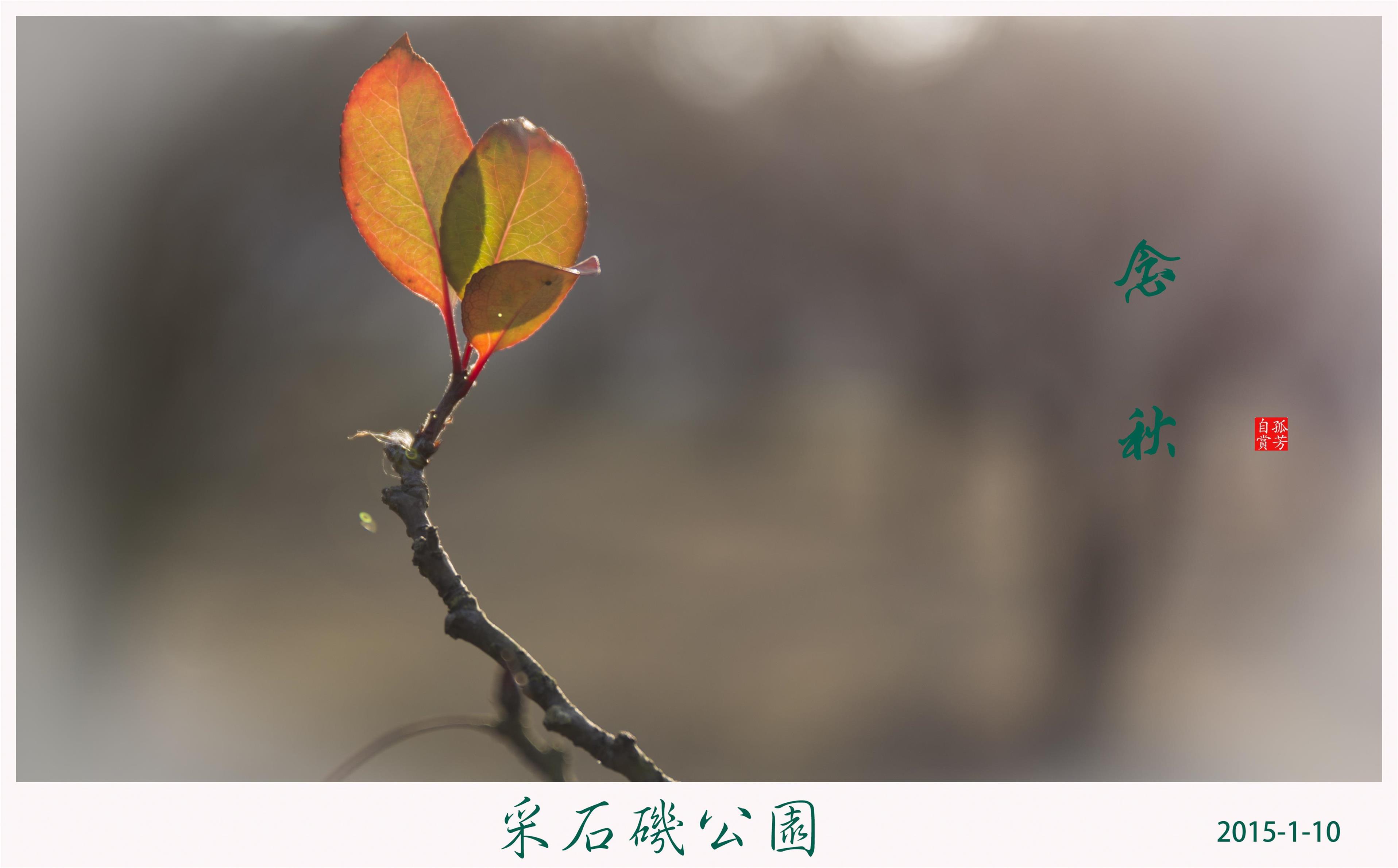 未命名-1-5.JPG