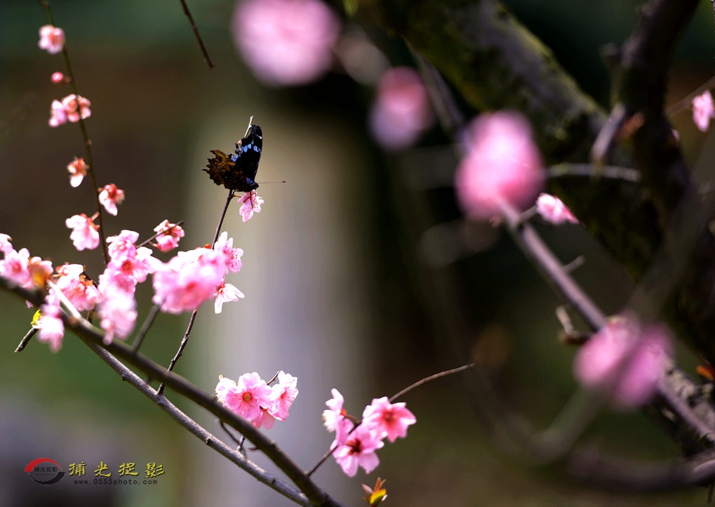 DSC_1263_副本.jpg