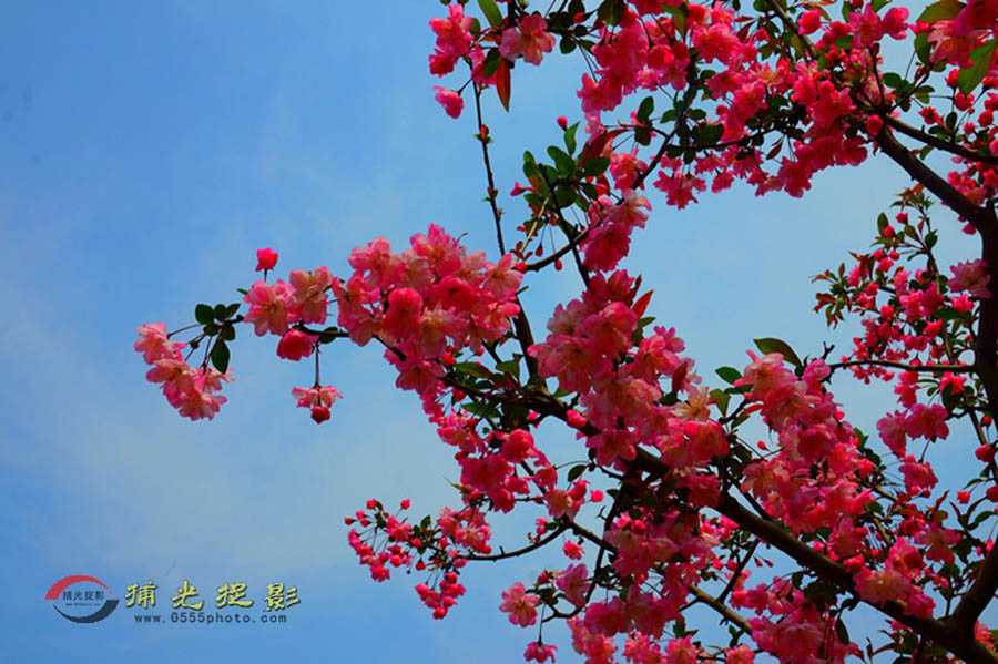 DSC00632_副本.jpg