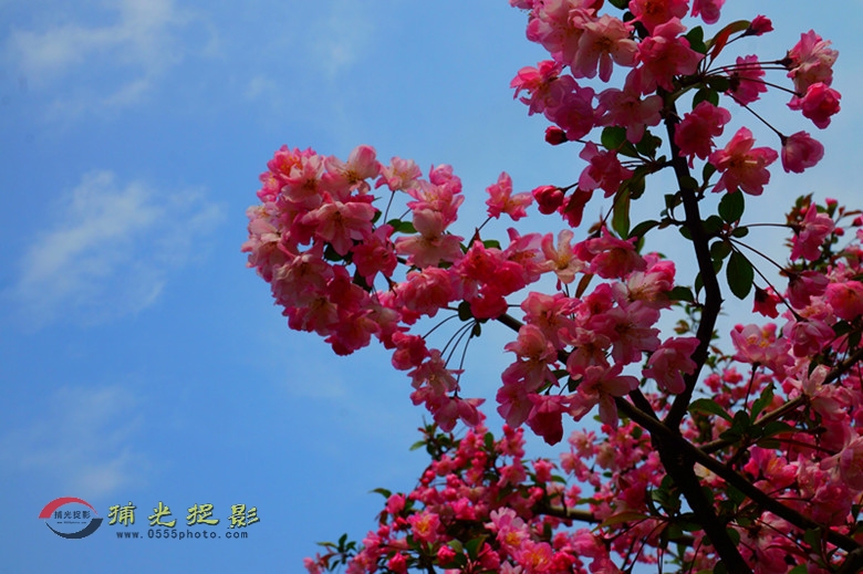 DSC00633_副本.jpg