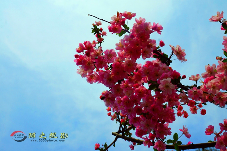 DSC00641_副本 - 副本.jpg