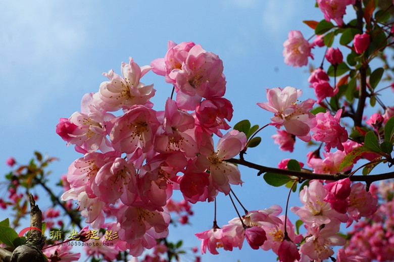 DSC00637_副本 - 副本.jpg