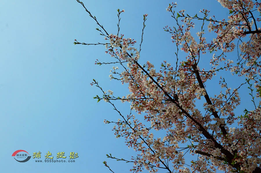 DSC00648_副本 - 副本 - 副本.jpg