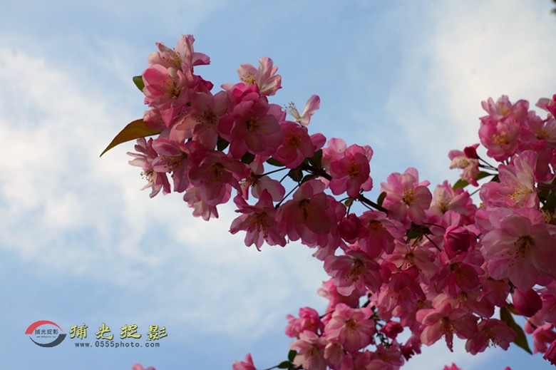 DSC00644_副本 - 副本.jpg