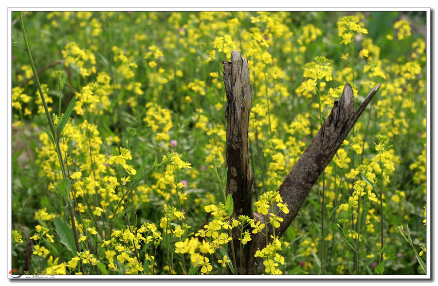 IMG_0040_副本.jpg